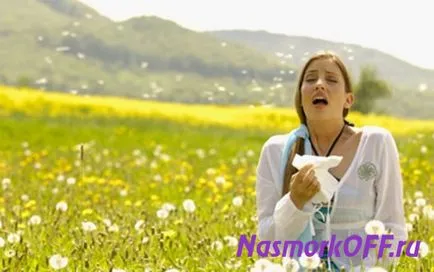 Előnyök tüsszögés és az ok otthon (használat) Előnyök tüsszögés és hogyan hívja haza