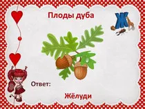 Előadások az általános iskola - általános iskola
