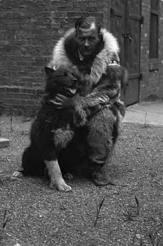 A True Story of a dog Balto (6 fénykép) - helyszíni állatbarátok