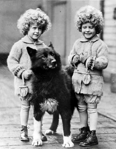 A True Story of a dog Balto (6 fénykép) - helyszíni állatbarátok
