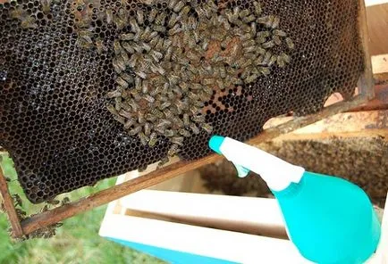 Helyes kialakulását dugványok méhészet méhek növelése (képződés) Megfelelő formáció dugványok, hogy növelje a méh méhészet