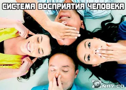 Az okok, amiért az összeomlás feudalizmus nem vette ezt a kormányzati forma (feudalizmus) Az okok, amiért az összeomlás feudalizmus nem vette ezt a kormányzati forma