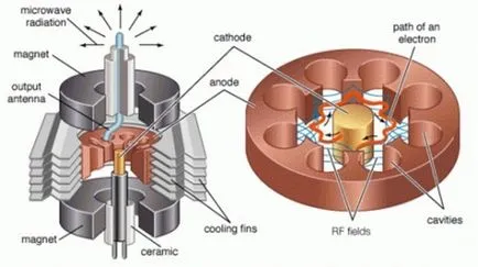 A működési elve a mikrohullámú sütő és készülék magnetron