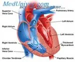 Megfejtése EKG sinus arrhythmia - kezelés a szív (sinus) Megfejtése EKG sinus arrhythmia - kezelés a szív
