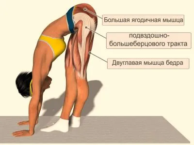 Stretching az izmok a comb, a csípő ínszalagok otthoni kezelés, a tünetek