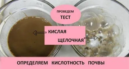 Dezoxidálásból talaj tavasszal