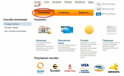 Qiwi pénztárca - regisztráció és használat, a kezdő (Qiwi erszényes regisztrációs kiwi feltöltésére személyes fiókot, hogyan kell pénzt felvenni egy erszényt, hogy hozzon létre) Qiwi pénztárca - regisztráció és használat, újszülött