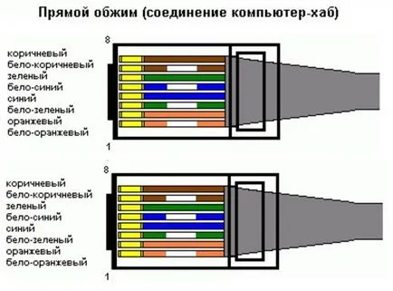 Pinout hálózati kábel és a hullámosság, hogyan lehet a számítógép (hálózati) Pinout hálózati kábel és a hullámosság, hogyan lehet a számítógép