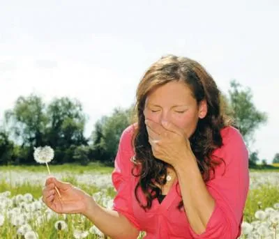 A szezonális allergiás tünetek, kezelés népi jogorvoslati (kezelés) Szezonális allergiás tünetek, a kezelés a népi jogorvoslat