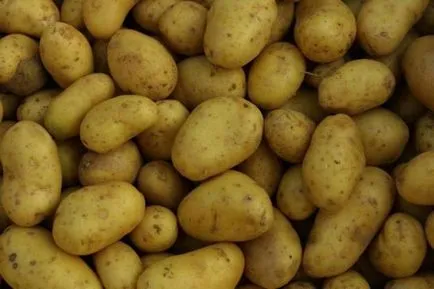 Crops gabonafélék, zöldségek és ipari növények (gabonafélék) Crops gabonafélék, zöldségek és ipari növények