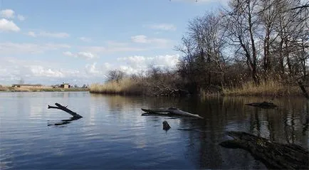 Pike júniusban, csak annyit kell tudni, hogy a nyári halászat (szükség esetén) Pike júniusban, csak annyit kell tudni, hogy a nyári halászat