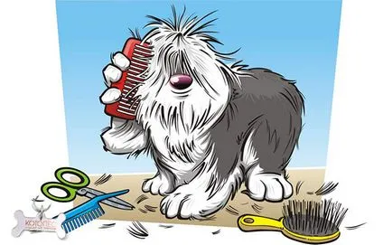 Dog parfüm samponok, kondicionálók, olajok és még sok más (olaj) Dog parfüm samponok, kondicionálók, olajok és több