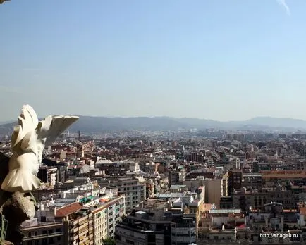 Profil platformok barcelona