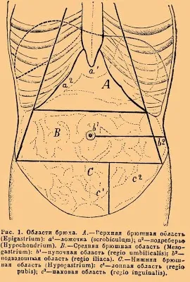 Szopás a gyomorban éhes-e vagy sem, az orvos Andrew beloveshkin egészségügyi erőforrások
