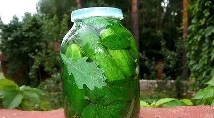 Pickles hideg a tél bankok receptek