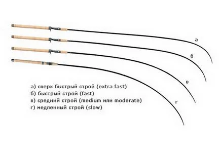 Spinning csuka rúd kiválasztási és felszerelésének rendbehozatalára