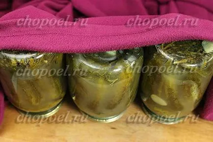 Pickles a telet a bankok, pácolás recept ropogós uborka (savanyúság) Pickles a telet a bankok, a recept pácolás uborka ropogós