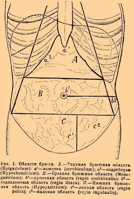Szar a gyomrában, hogy megtudja, mit is jelent valójában (Egészség) Szar a gyomrában, hogy megtudja, mit is jelent valójában