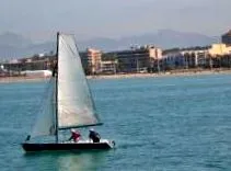 palma international