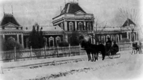 історія акушерства