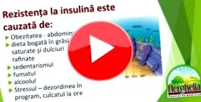 történelem