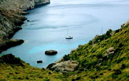 international mallorca