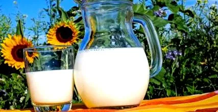 лактоза хранене