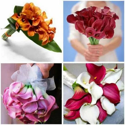 2017 Esküvői csokor fotó - rózsa, orchidea, százszorszépek és Calla liliom (fotó) 2017 Esküvői csokor fotó - rózsa, orchidea, százszorszépek és Callas