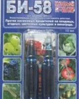 A levéltetvek a mosogató, mint egy harc, mint a folyamat, mint a spray-szilva-levéltetű