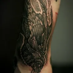 Tattoo stílus dotvork (dotwork), fotók, vázlatok tetoválás