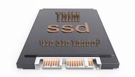 Edzett ssd, amit ez a csapat, és ez befolyásolja a szilárdtest-meghajtók (csapat) Vágja ssd, amit ez a csapat, és ez befolyásolja a szilárdtest-meghajtók