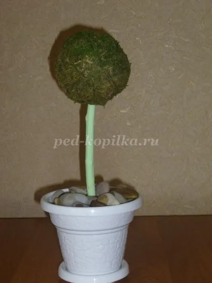 Műkertészeti rózsák szatén szalagok (műkertészeti) Műkertészeti virággal szatén szalagok