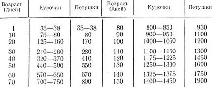 Gondozásában a csirkék és a felett a fejlődés Bogdanov 1976 m
