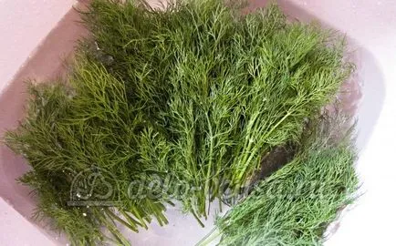 Kapor só télen-lépésre recept (8 kép) (só recept lépéseit télen) Kapor só télen-lépésre recept (8 kép)