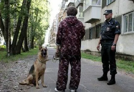 Séta a kutyák nélkül szájkosarat
