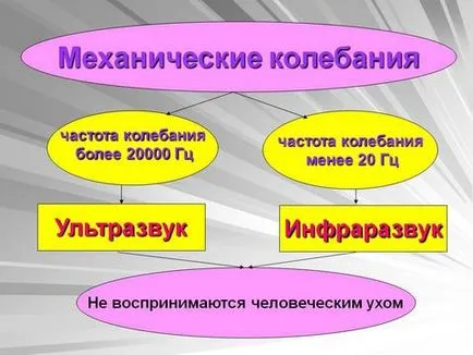 A hatás az ultrahang az emberi test (body) A hatás az ultrahang az emberi szervezetre
