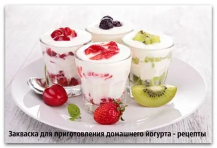 Kovászt a házi joghurt receptek (főzés) Kovász a házi joghurt receptek