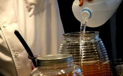 kombucha kombucha