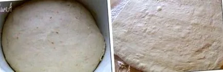 австриски австриски