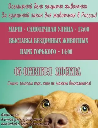 Címét menhelyekhez Címét menhelyekhez