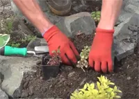 Alpesi hegyek megtekintés