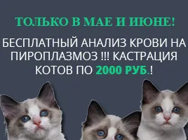 Veterinärklinik kutyák Veterinärklinik kutyák