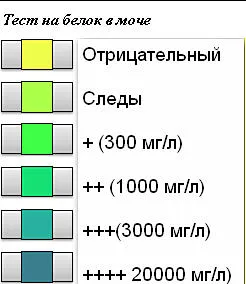 Sok fehérje a vizeletben, amely Sok fehérje a vizeletben, amely