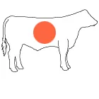 Mi készül steak Mi készül steak