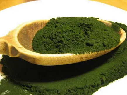 Chlorella meg
