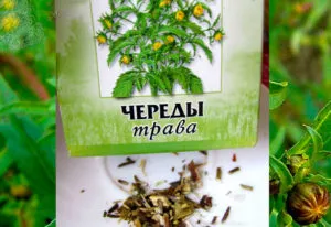 Az öröklés az allergia Az öröklés az allergia