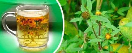 Az öröklés az allergia Az öröklés az allergia
