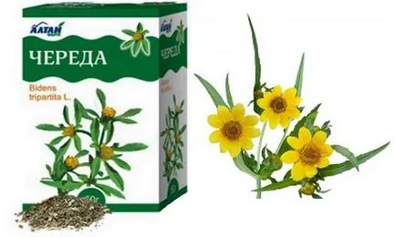 Az öröklés az allergia Az öröklés az allergia