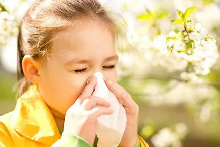 Az öröklés az allergia Az öröklés az allergia