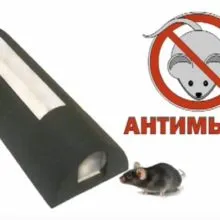 Mérgezés kutyák patkánymérget Mérgezés kutyák patkánymérget